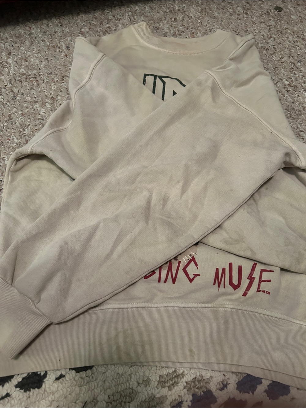 Anine Bing Muse Tiger Sweatshirt - AS IS - size small - Picture 5 of 11